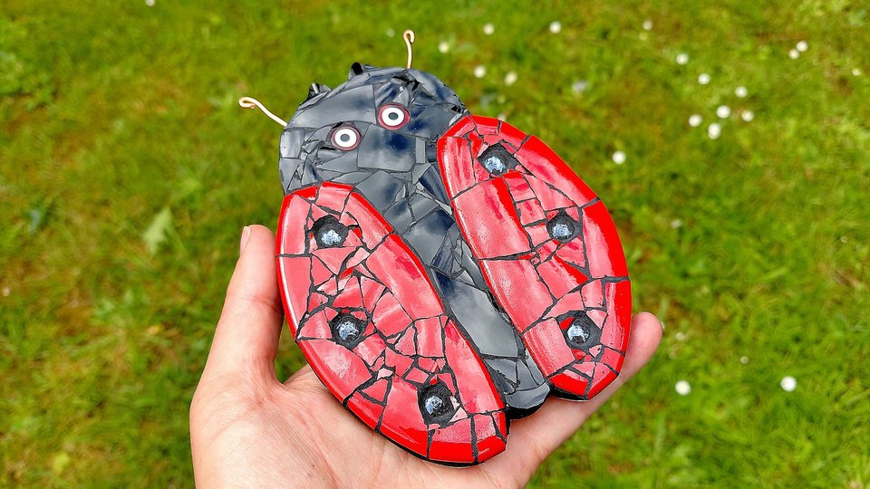 Red Ladybird
