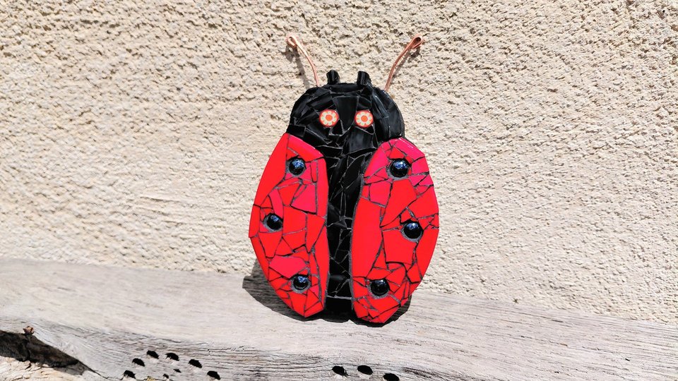 Red Ladybird