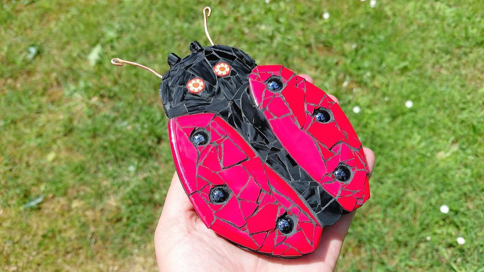 Red Ladybird