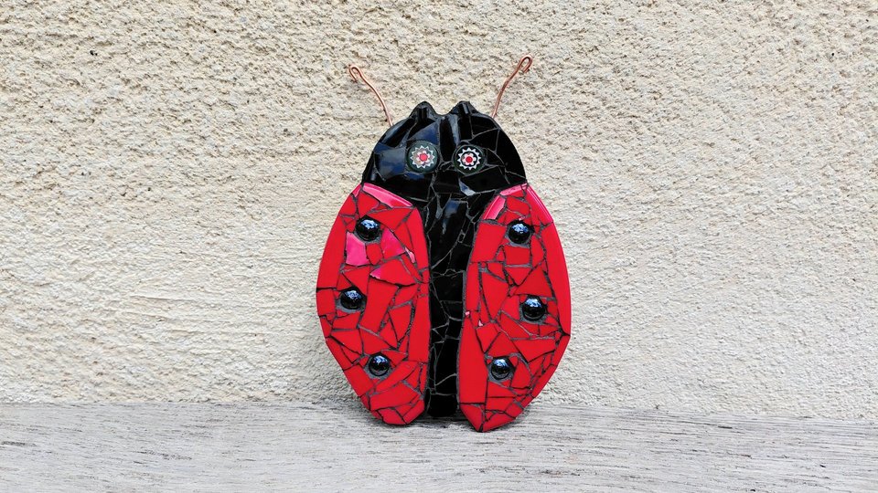 Red Ladybird