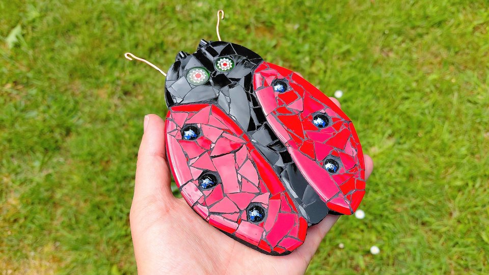 Red Ladybird