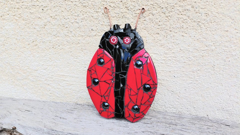 Red Ladybird