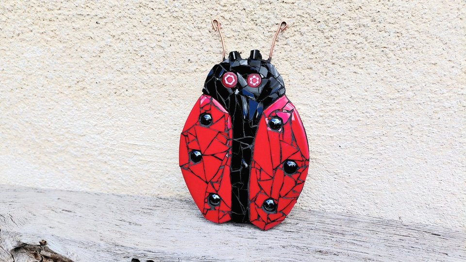 Red Ladybird