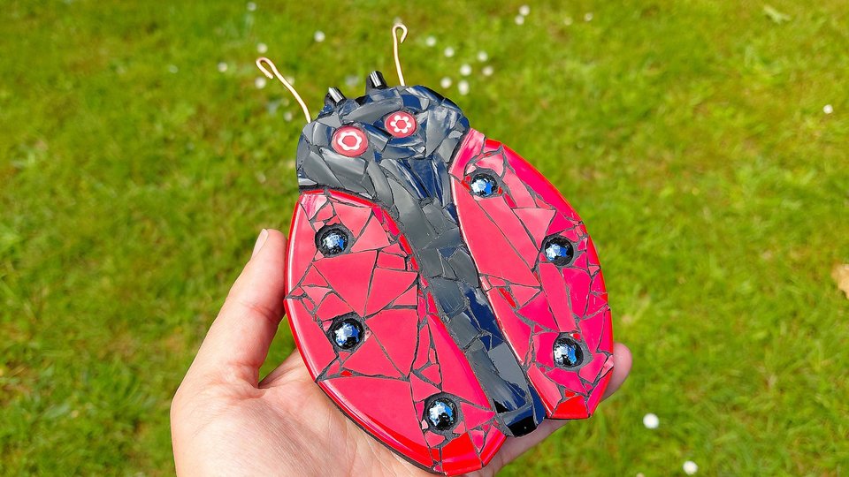 Red Ladybird