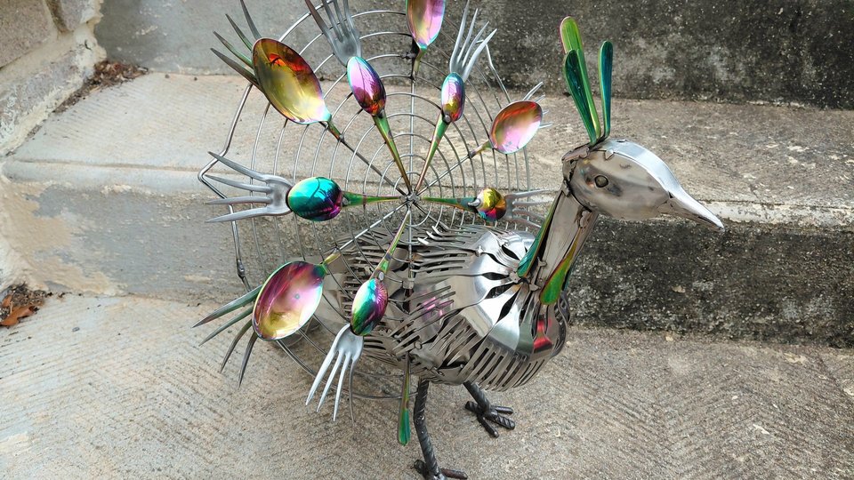 Large Rainbow Peacock 