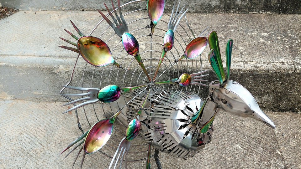 Large Rainbow Peacock 