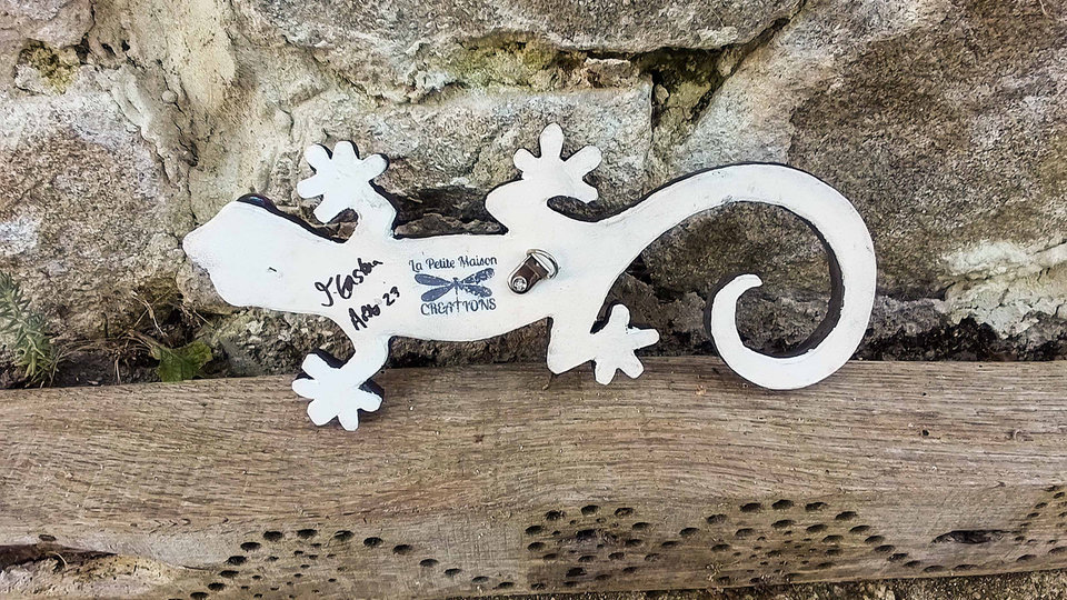 Blue & Red Ruby-toed Mini Gecko (SOLD)