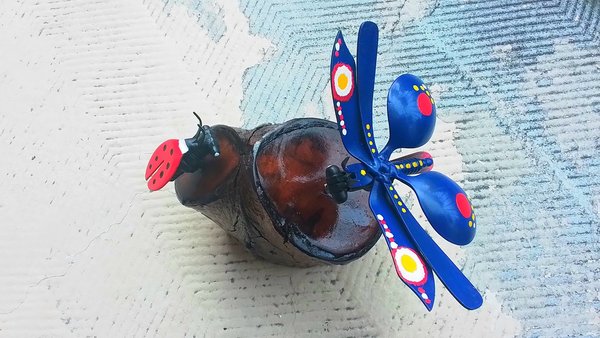Blue Butterfly & Ladybird Nature Log 