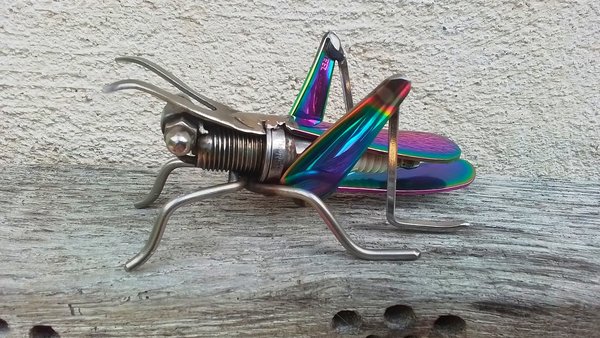 Rainbow Grasshopper (MADE TO ORDER)