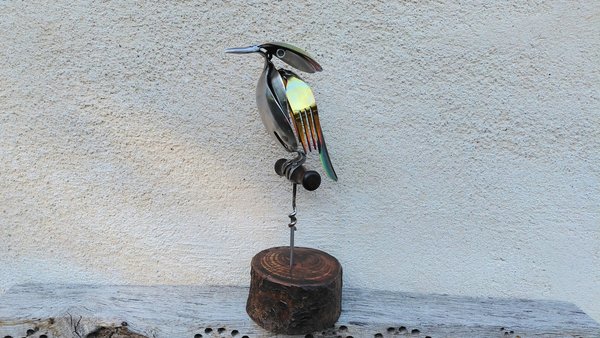 Rainbow Kingfisher on Wooden Stand